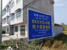 马边彝族自治县墙体广告质量分析