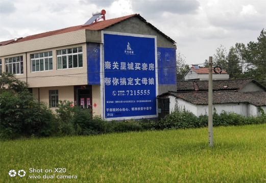马边彝族自治县决定墙体广告价格的因素有哪些？