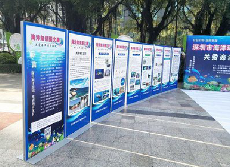 马边彝族自治县KT板的种类和知识。